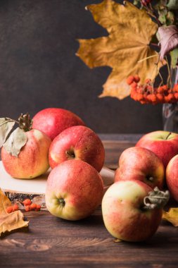 Sezon elma kokulu ve tatlı geldi. Sonbahar geldi