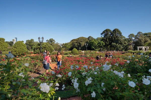 Buenos Aires Argentina Března 2019 Turisté Fotografují Mezi Květinami Růžové — Stock fotografie