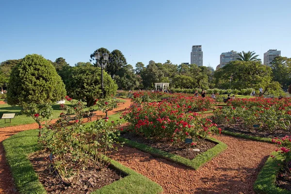 Buenos Aires Argentina Března 2019 Růžová Zahrada Palermo — Stock fotografie