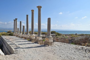 Lastik kalıntıları (Ekşi), Lübnan