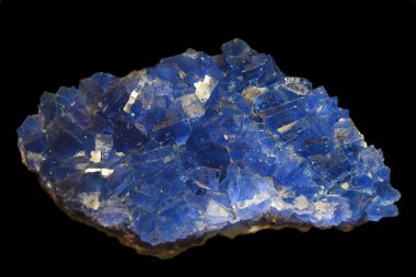 Floritin siyah arkaplanda izole edilmiş makro fotoğrafı 