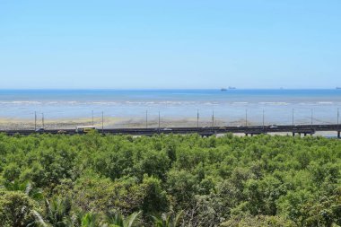 Pasifik Okyanusu manzarası, Panama şehri