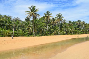 Bluff Sahili, Bocas del Toro Adaları, Panama