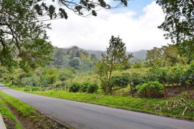 Boquete 'deki dağlarda yol, Chiriqui, Panama