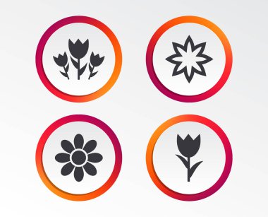 Beyaz arkaplanda çiçek simgeleri