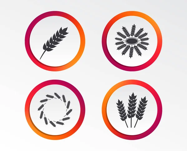 农业偶像 无麸质或无面筋标志 小麦玉米花环象征 图表设计按钮 圆形模板 — 图库矢量图片