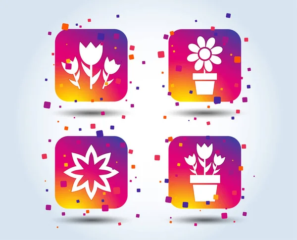 Fleurs Gradient Coloré Icônes Carrées Sur Fond Blanc — Image vectorielle
