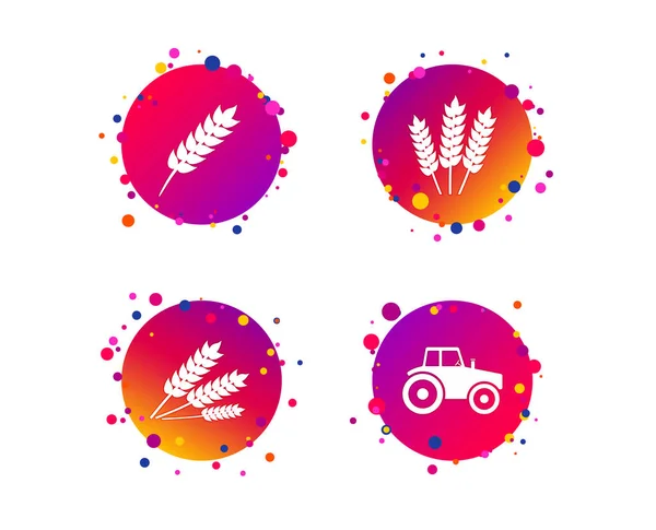 Agricultural Icons Wheat Corn Gluten Free Signs Symbols Tractor Machinery — Stock Vector