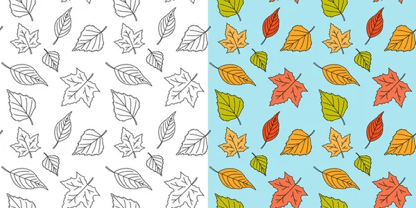 Autumn maple leaf seamless pattern. Fall leaves texture. Seasonal template with leaf pattern. Colorful swatches autumn maple leaves background. Fall season. Vector