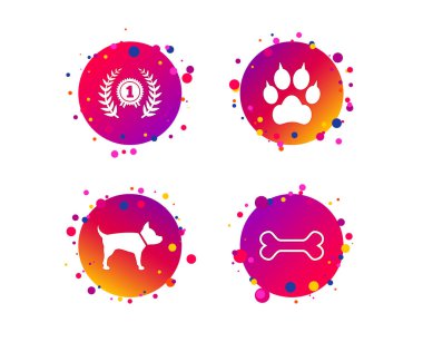 Pets icons. Cat paw with clutches sign. Winner laurel wreath and medal symbol. Pets food. Gradient circle buttons with icons. Random dots design. Vector clipart