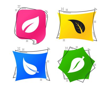 Yaprak simgesi. Taze doğal ürün simgeleri. Ağaç işaretleri yaprak. Geometrik renkli Etiketler. Afiş ile düz kutsal kişilerin resmi. Modaya uygun bir tasarım. Vektör