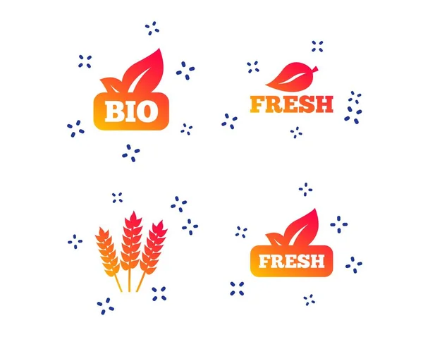 Iconos Naturales Bio Alimentos Frescos Signo Agrícola Sin Gluten Formas — Vector de stock