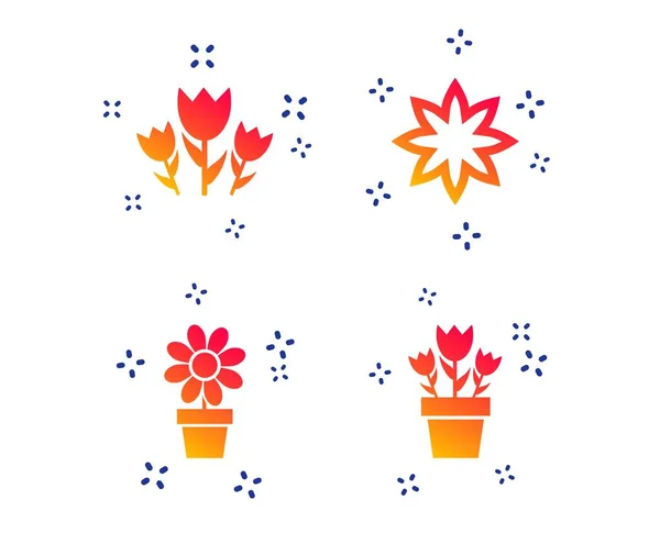 Flowers icons. Bouquet of roses symbol. Vector — Stock Vector