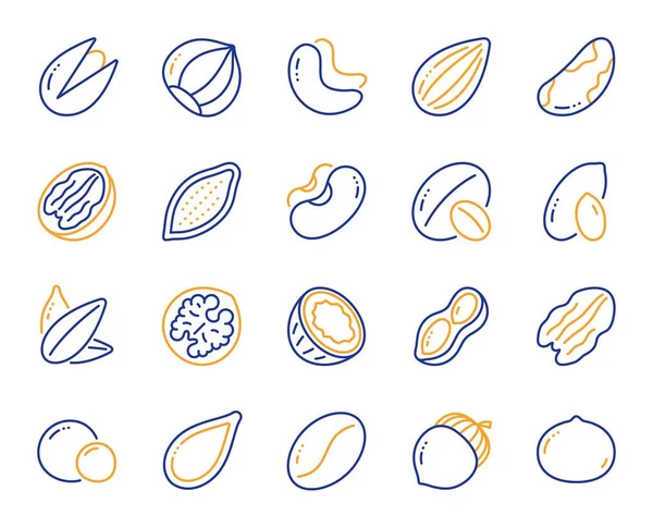 Icone della linea di noci e semi. Nocciola, mandorla e arachidi. Vettore — Vettoriale Stock