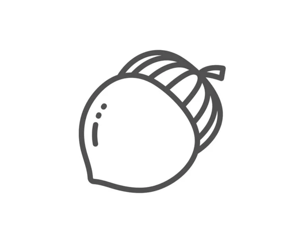 Recorn nut line icon. Дубовый знак. Семена дуба. Вектор — стоковый вектор