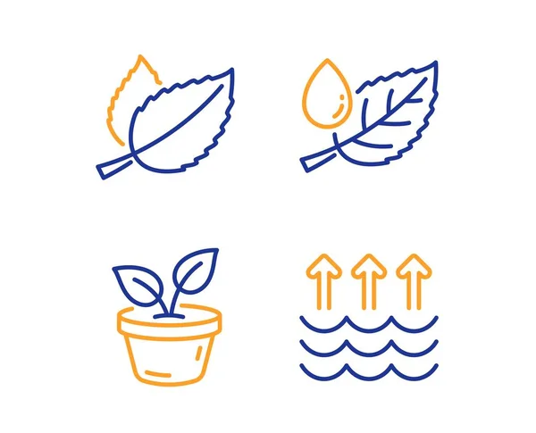 Set di icone con foglie di menta, foglie e rugiada. Segnale di evaporazione. Mentha a base di erbe, Coltiva pianta, Goccia d'acqua. Vettore — Vettoriale Stock