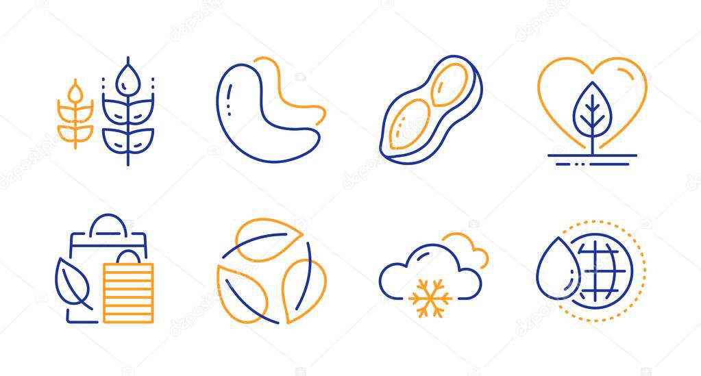 Leaves, Cashew nut and Gluten free icons set. Local grown, Peanut and Bio shopping signs. Vector