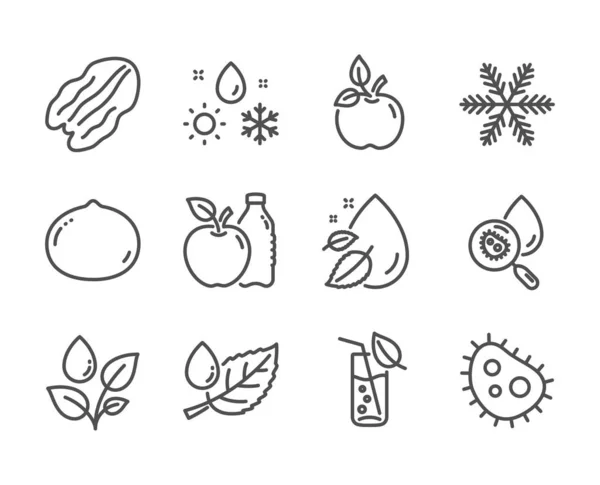 Uppsättning natur ikoner, som pecan mutter, äpple, ekologisk mat. Vektor — Stock vektor
