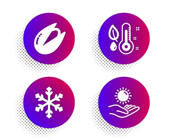 Сніжинка, термометр і фісташки горіха набір іконок. Знак захисту від сонця. Сніг, вирощувати рослину, вегетаріанське харчування. Векторний — стоковий вектор
