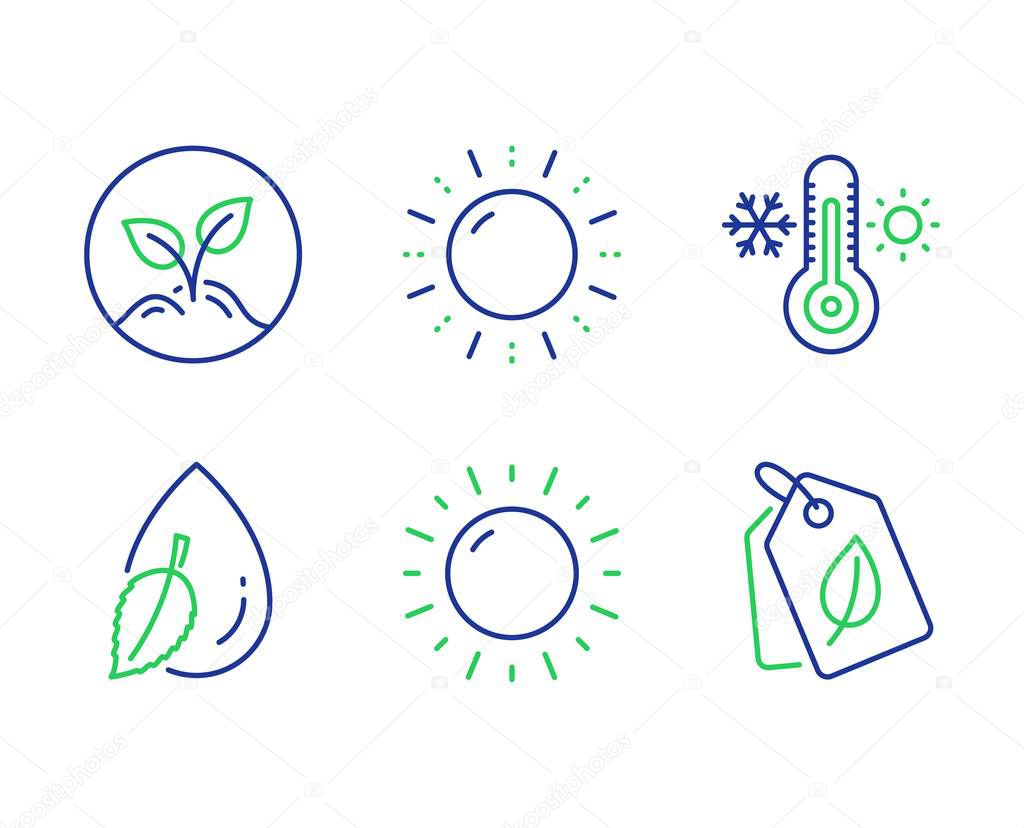 Sun energy, Thermometer and Water drop icons set. Startup, Sunny weather and Bio tags signs. Vector