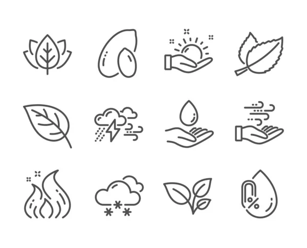 Conjunto de iconos de la naturaleza, como maní, hojas, Orgánica probado. Vector — Archivo Imágenes Vectoriales