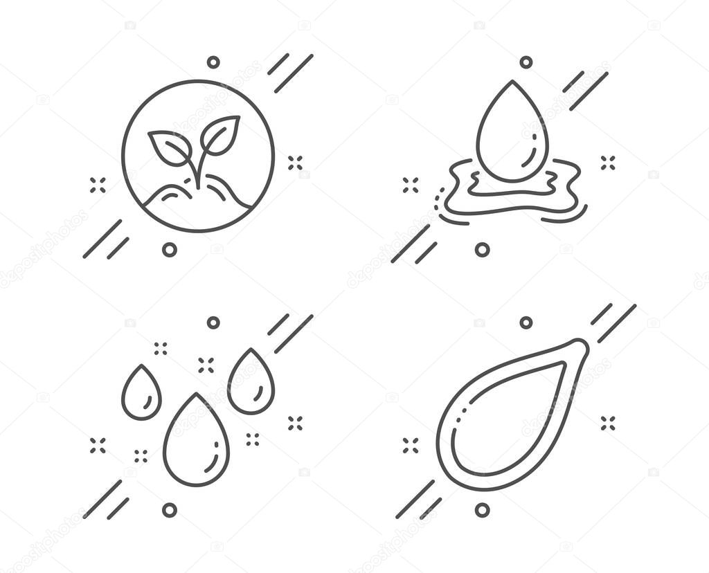 Rainy weather, Water splash and Startup icons set. Pumpkin seed sign. Water drop, Aqua drop, Launch project. Vector
