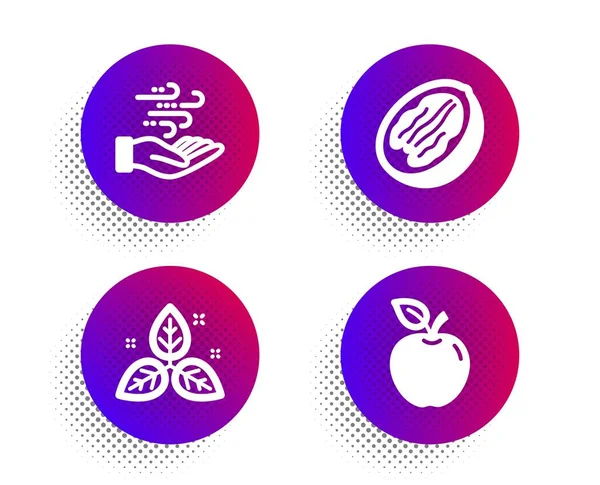 Set di icone Pecan nut, energia eolica e commercio equo e solidale. Firma Apple. Cibo vegetariano, Breeze power, Leaf. Frutta. Vettore — Vettoriale Stock