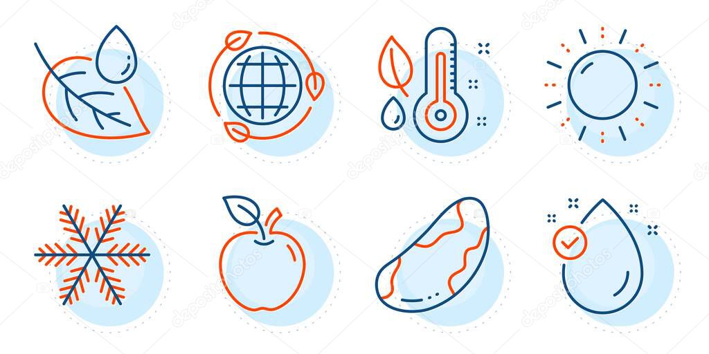 Apple, Eco energy and Vitamin e signs. Snowflake, Sun energy and Thermometer line icons set. Leaf dew, Brazil nut symbols. Air conditioning, Solar power. Nature set. Outline icons set. Vector