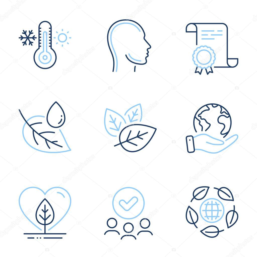 Eco organic, Organic tested and Head line icons set. Diploma certificate, save planet, group of people. Local grown, Thermometer and Leaf dew signs. Bio ingredients, Human profile, Thermostat. Vector