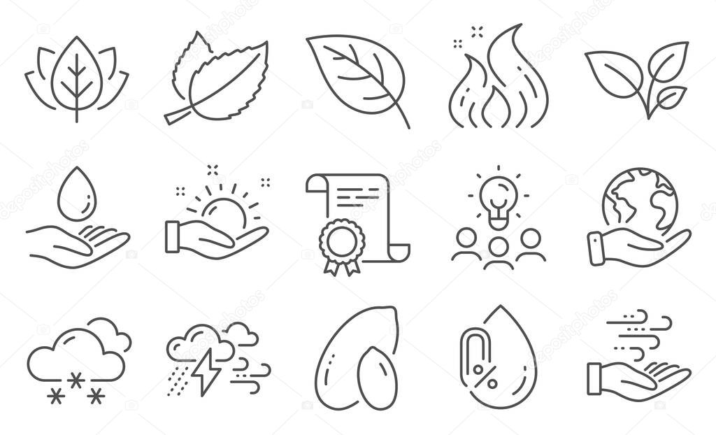 Set of Nature icons, such as Peanut, Leaves. Diploma, ideas, save planet. Organic tested, Water care, Mint leaves. Wind energy, Bad weather, No alcohol. Vector