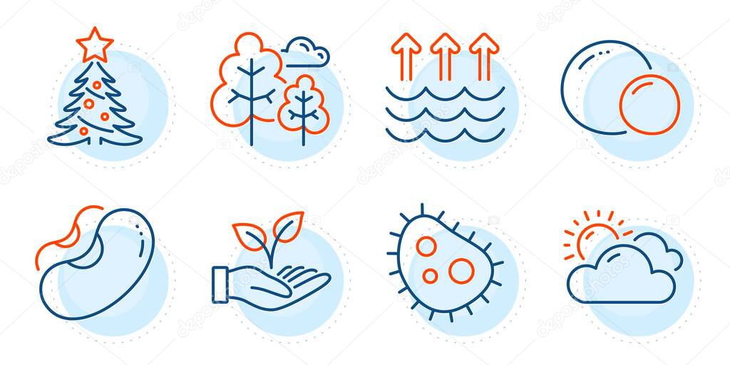 Sunny weather, Christmas tree and Peas signs. Beans, Helping hand and Tree line icons set. Evaporation, Bacteria symbols. Vegetarian seed, Startup palm. Nature set. Outline icons set. Vector