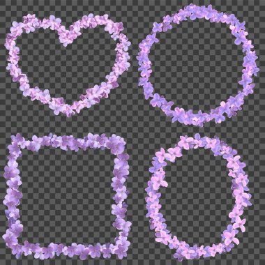 Lila-Pembe Lila çiçekler çerçeveleri.