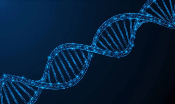 Hélice Célula Adn Estructura Celular Baja Polietileno Del Genoma Organismo — Vector de stock