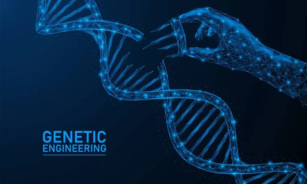 Dnaの遺伝子工学 生物のゲノムの科学的研究と編集の概念 ヒトの手と染色体らせんの低ポリデザイン 青の背景 — ストックベクタ