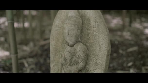 Κοντινό Πλάνο Του Ένα Άγαλμα Μια Forrest — Αρχείο Βίντεο