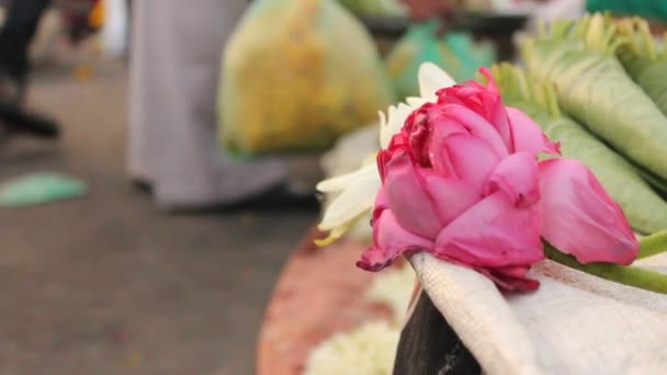 Κοντινό Πλάνο Λουλούδι Του Λωτού Που Λαμβάνονται Αγορά Λουλουδιών — Αρχείο Βίντεο