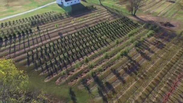 Βίντεο Του Αγροκτήματος Πετούν Πάνω Από — Αρχείο Βίντεο