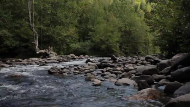 平移和倾斜揭示水冲过小溪 — 图库视频影像