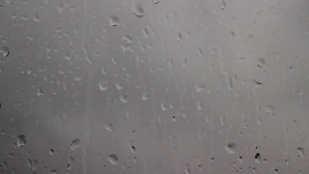 Regn Ett Fönster — Stockvideo