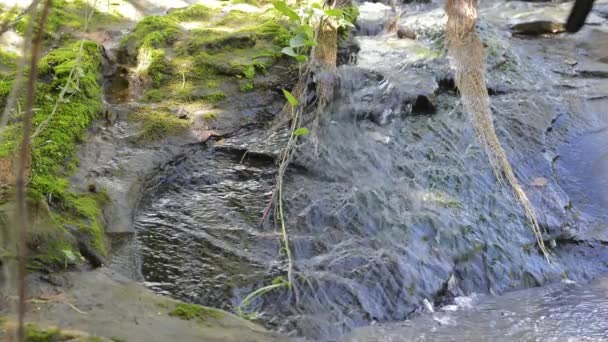 Vídeo Rocas Río — Vídeos de Stock