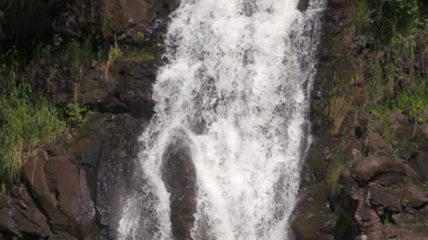 崖の上の自然の滝のスローモーション — ストック動画