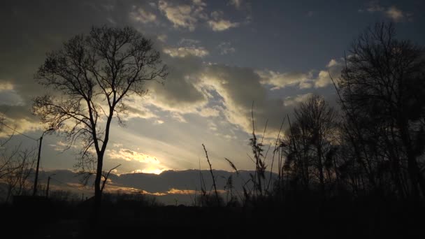 Захід Сонця Темним Тоном Великими Хмарами Фоні Неба — стокове відео