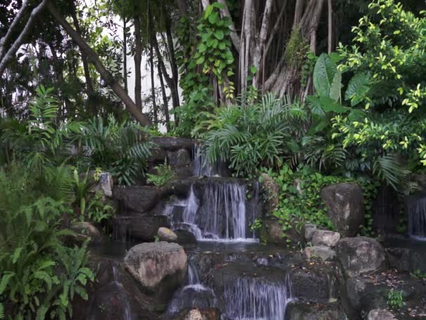 Tiro Cascada Tailandia — Vídeos de Stock