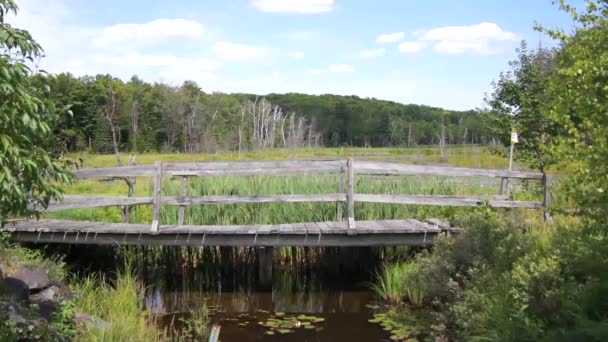 在乡下迷路的木桥 — 图库视频影像