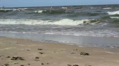 deniz dalgaları Beach video