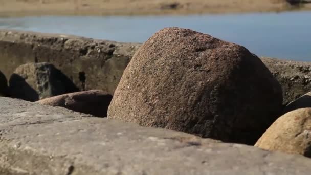 Hormigón Piedras Marinas — Vídeo de stock