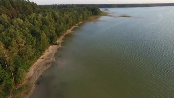 Vlucht Boven Het Meer Buurt Van Forest — Stockvideo