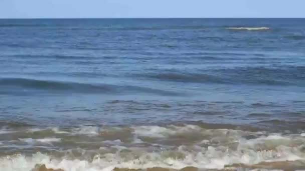 海的前面看法 — 图库视频影像