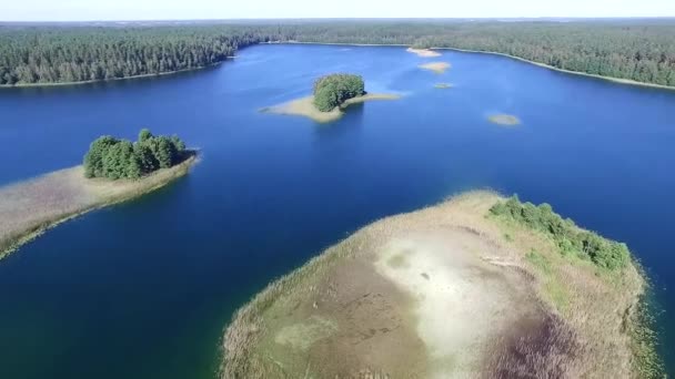 Panoráma Nyílik Tóra Erdő Közelében — Stock videók