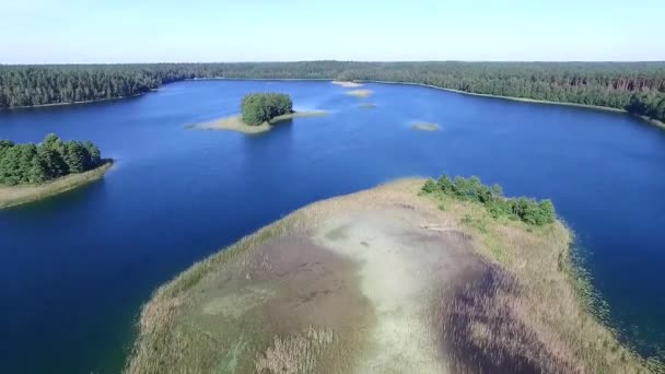 Aufstieg Über Den See Der Nähe Von Wald — Stockvideo